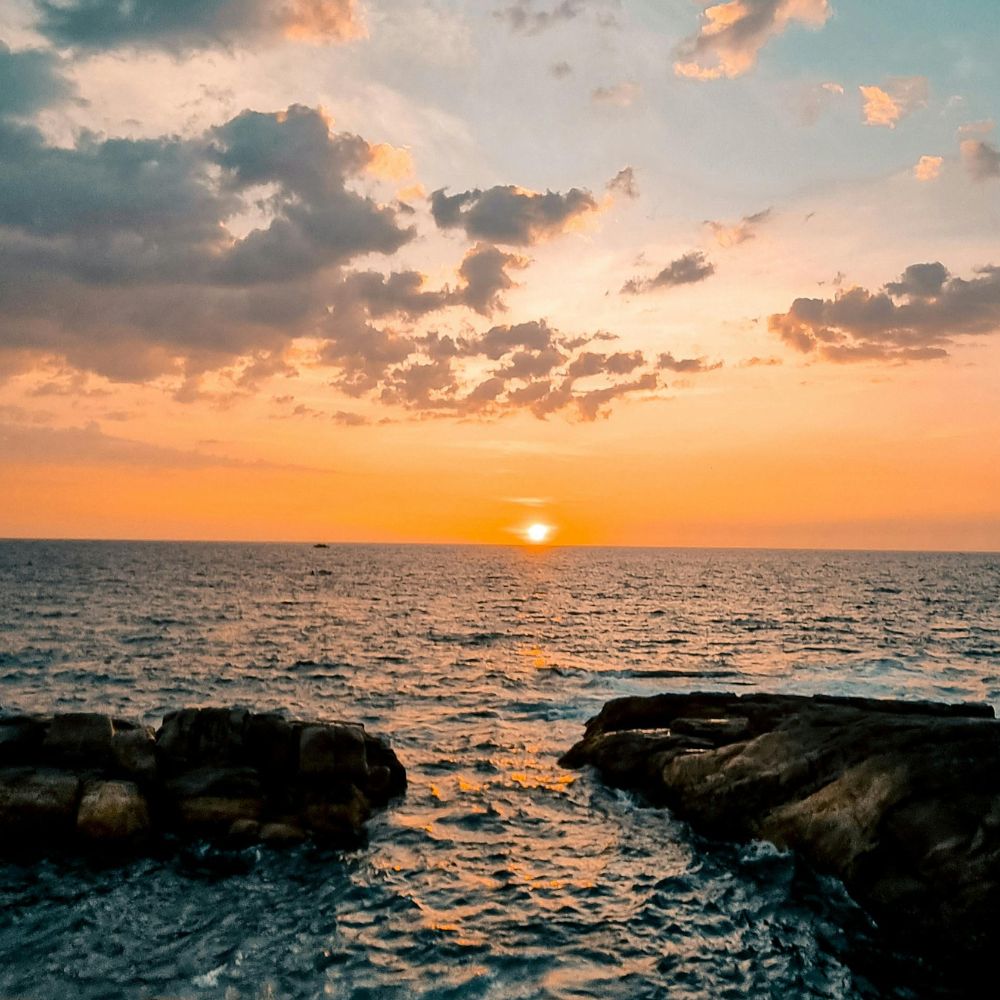 Woman Using Laptop Computer